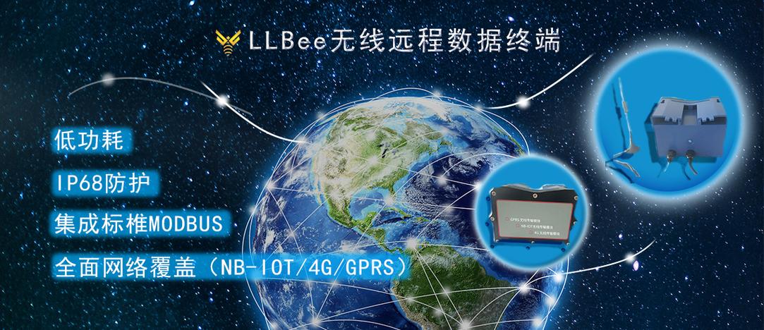 大连莱立佰信息技术